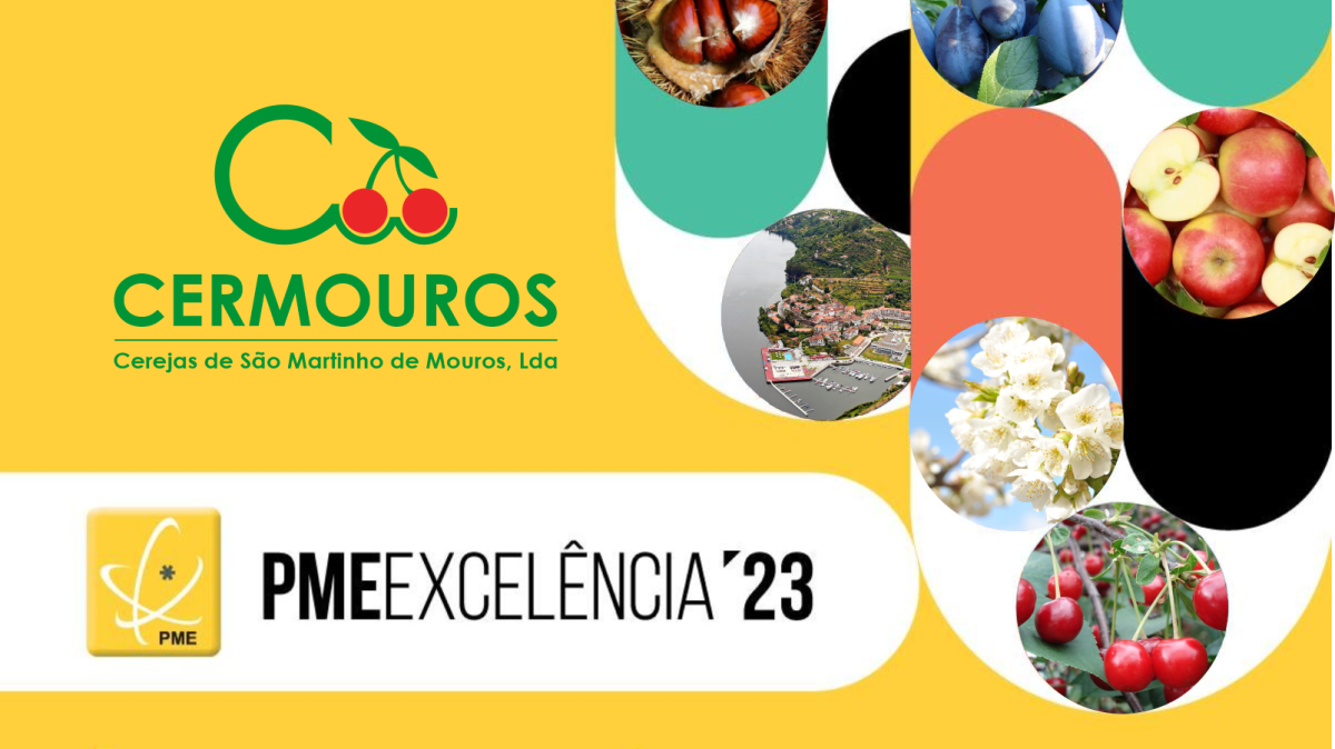 Prémio PME Excelência 2023